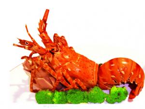 龍蝦有哪些功效和作用?龍蝦的營養(yǎng)價值