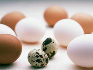 吃什么能提高記憶力?能提高記憶力的九種食物