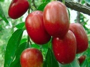 �t���Զ��˕���ô�����t���Զ��˺Æ�