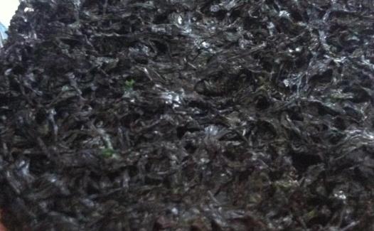 冬季養(yǎng)生這么吃 9種食物防寒又保暖