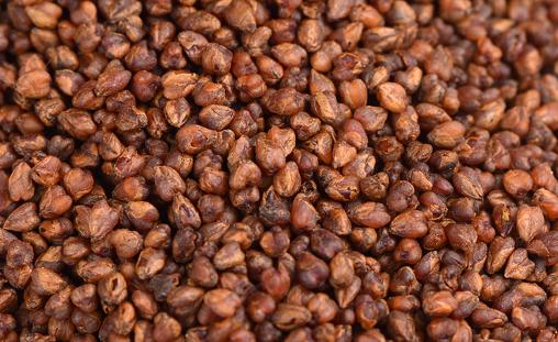 ?濕氣重可以喝苦蕎茶嗎 喝苦蕎茶會上火嗎