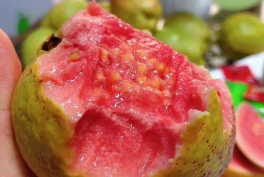 孕期可以吃芭樂(lè)嗎?吃芭樂(lè)有哪些功效?