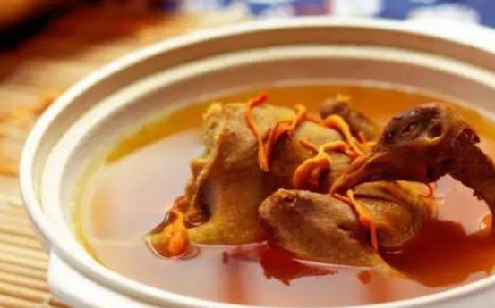 燉鴿子能放鹽嗎?燉鴿子不能放什么料?