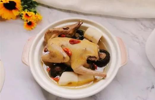 鴿子肉是發物嗎?鴿子肉什么人群不能吃?