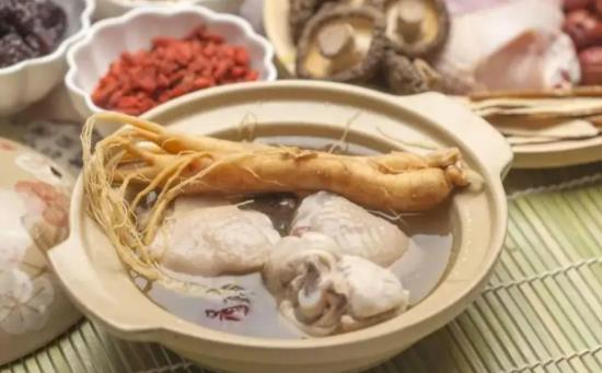 鴿子湯怎么燉營養才好?鴿子用什么煲湯最好?