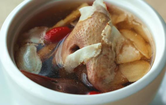 燉鴿子能放鹽嗎?燉鴿子不能放什么料?