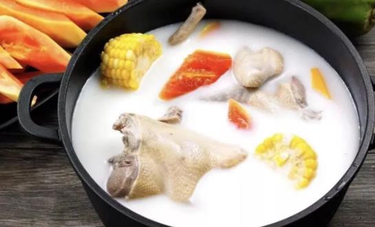 燉鴿子要不要焯水?鴿子湯的功效有什么?