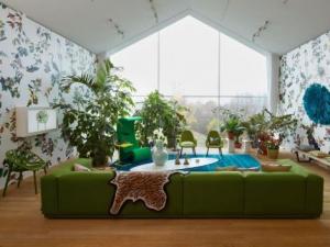 裝修后如何除甲醛?除甲醛最有效方法及植物