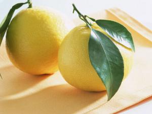 柚子能減肥嗎?柚子的營養(yǎng)與功效