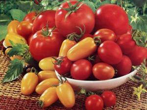 什么時(shí)候吃番茄減肥最好?吃番茄的注意事項(xiàng)