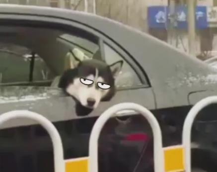 �˞�ʲô����܇�����Ӳ���ԭ�򼰰Y��A����܇��6��С����