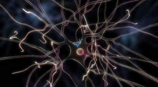 ?患神經梅毒的原因有哪些?患神經梅毒需要做哪些檢查?