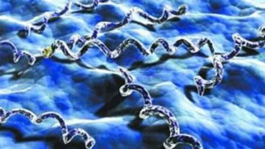 哪些人易患神經梅毒?神經梅毒的傳染途徑有哪些?