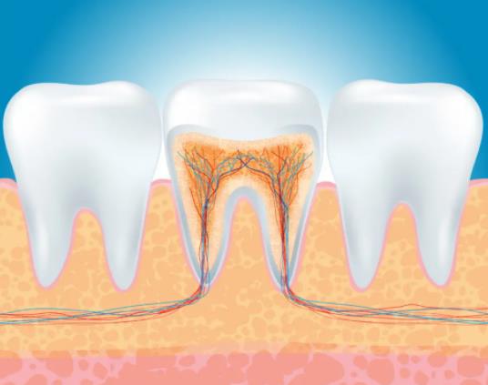 戴牙套可以貼美白牙貼嗎?貼美白牙貼可以喝茶嗎
