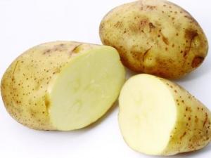 坐月子能吃土豆嗎？產婦能不能吃土豆