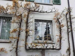 �_���@����Ȼ�L�ɵģ�߀�ǳ���T���Ľ���