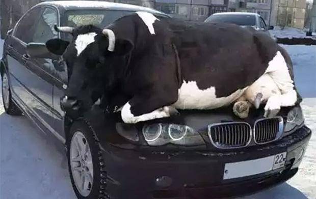 騙了全世界的著名假照片 你信過哪張?