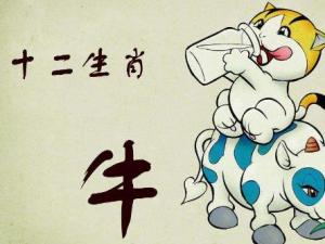 ��ţ���F�ˌ��࣬�c��ţ�˲��ϵČ��࣬ţ�c������Ф���Pϵ