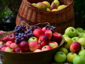 吃荔枝可治療腎虧夢遺-男人吃什么補腎養精?