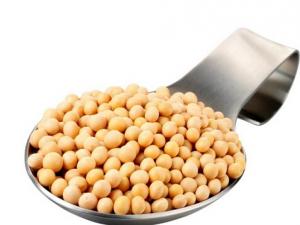 研究發現大豆或有益于女性心臟健康