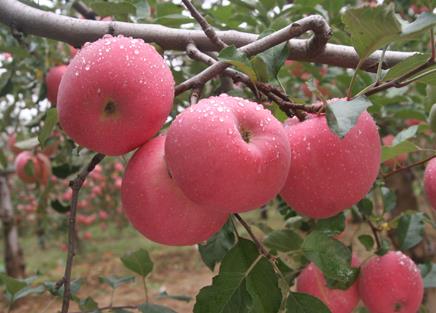 ��(j��ng)���ܳ��O(p��ng)���᣿��(j��ng)�ڳ��O(p��ng)���Æ�