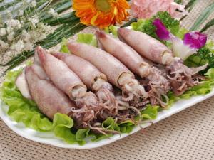 海兔子怎么做？海兔的營養價值-海兔的做法