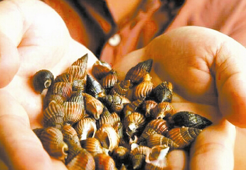 ���y�ݵĺ���-���y�ݵ�����