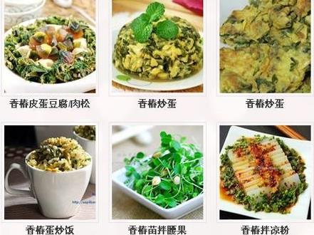 香椿怎么做好吃?香椿的做法