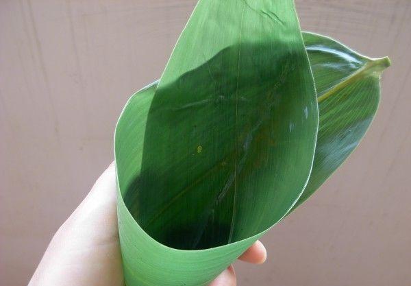 ���繝(ji��)����������ȫ ������������ϣ��������ӵ�Ԕ���D�Ĳ��E��