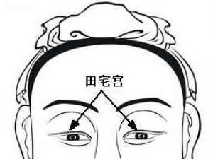 面相算命圖解:面相十二宮圖之田宅宮