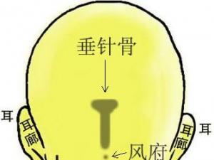 骨相圖解:垂針骨