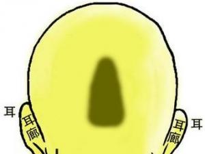 骨相圖解:昆侖奇峰骨