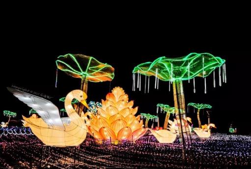 武漢2021年元宵節哪里最熱鬧?武漢2021元宵節哪里有燈展