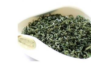 ?日照綠茶什么時候上市 日照綠茶什么時候采摘最好