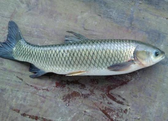 �Ї���Ե�ʮ�N��ˮ�~�����~���_θ���a�����~�~��Ԍ�