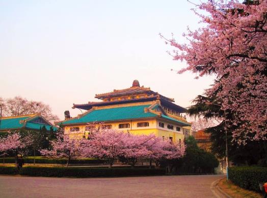 ȥ��h���ѻ���ʲô�·���ʲô�r��ȥ��h��W���ѻ����