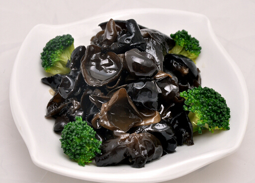 ��ľ���Ĺ�Ч�c�I�B(y��ng)-��ľ�����m����Ⱥ