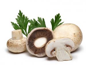 �㹽�ĠI�B�rֵ�c��Ч-�������㹽�ą^�e