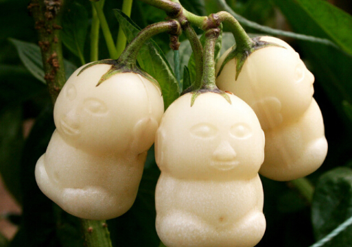 �˅�����ô�����B�����˅����Ĺ�Ч������