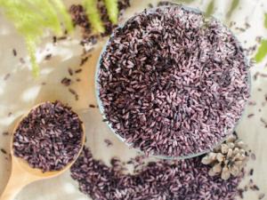 紫米的營養(yǎng)價(jià)值及功效-墨江紫米是什么?