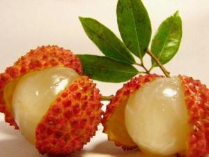 吃荔枝上火怎么辦？怎樣吃荔枝不上火？荔枝的功效與作用