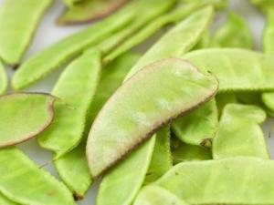 扁豆的功效與作用-扁豆的營養價值