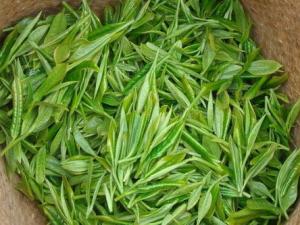 兒茶的功效與作用-兒茶的的藥用價值