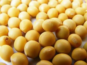 吃黃豆有什么好處?黃豆有什么營養價值