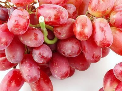 ��������ʲô��̎���������ϻ��᣿���ӵĹ�Ч�c����