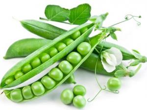吃豌豆有什么好處?豌豆的功效與作用及禁忌