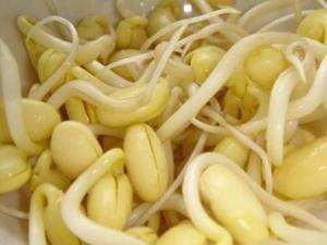 吃黃豆芽好嗎?黃豆芽的營養(yǎng)價值、功效與作用