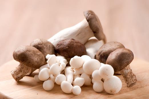 吃蘑菇上火嗎?蘑菇的營養(yǎng)價值 蘑菇的功效與作用