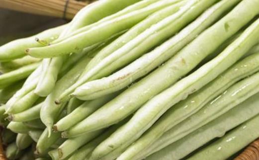 四季豆有毒嗎?怎么吃更安全?四季豆的營(yíng)養(yǎng)價(jià)值