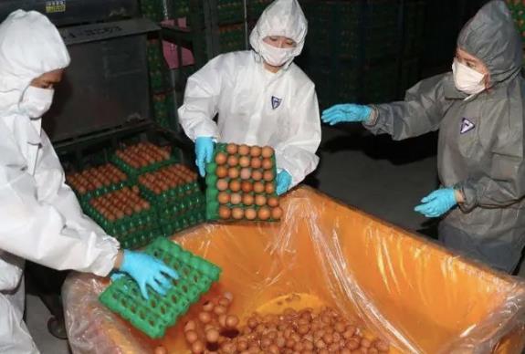 雞蛋煮太熟營養(yǎng)會損失掉?溏心蛋和全熟雞蛋哪種營養(yǎng)更好?